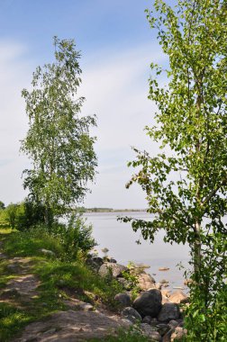 Yaz doğası. Belozersk 'te. Beyaz Göl. Rusya