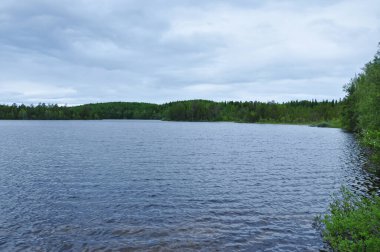 Beyaz Deniz 'deki Solovetsky Adaları. Ada doğası. Karelia Cumhuriyeti. Rusya
