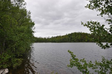Beyaz Deniz 'deki Solovetsky Adaları. Ada doğası. Karelia Cumhuriyeti. Rusya