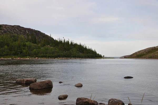 Archipel Kuzov Dans Mer Blanche Îles Mer Blanche Russie — Photo