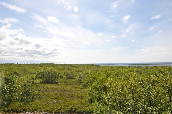 Insel Bolschoi Sajatski Solowezki Inseln Weißes Meer Nordrussland — Stockfoto