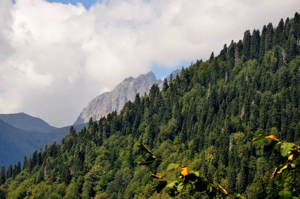 Paisajes Abjasia Las Montañas Bosque Mar Negro Abjasia — Foto de Stock