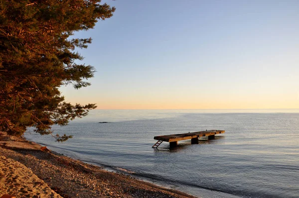 Захід Сонця Море Ввечері Березі Моря Чорне Море Абхазія — стокове фото