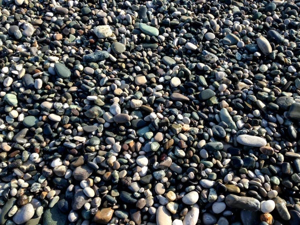 Kamyki Wybrzeżu Mały Kamyczek Plaża Kamienna — Zdjęcie stockowe