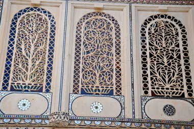 Udaipur Tavuskuşu Avlusu. Hindistan