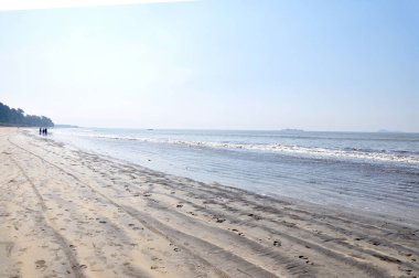 Deniz kıyısı. Goa mı? Arap Denizi. Hindistan