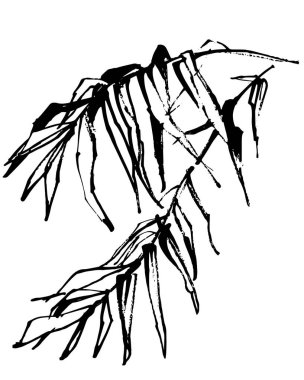 Büyük vektör çizgileri ve şekilleri. Güzel basit mürekkep ve kalem şekilleri. Basit şekillerin doğrusal çizimi. Basit geometri ve çizgiler. Dudling. Mürekkep ve kalem..