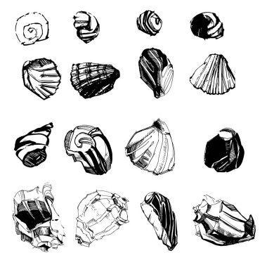 Fantezi vektör deniz kabuğu siluetleri. Güzel mürekkep siluetleri. Siyah siluetler. Deniz kabuğu çizimleri. Mavi arka planda deniz kabukları. Mürekkep kabukları. Yumuşakçaların güzel çizimleri. Kabuklu deniz hayvanı..