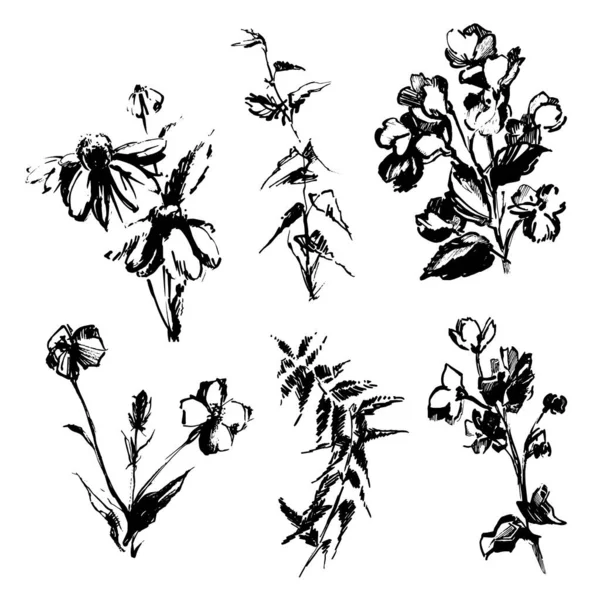 ベクトルの花や植物の大規模なセット 墨とペンで描いた花 枝の美しいスケッチ スケジュールの異なる植物 彫刻だ インクの天然物 — ストックベクタ