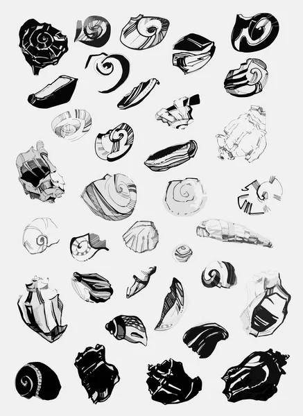 Fantasy Large Set Shells Vector Sketches Seashells Bea — Stock Vector