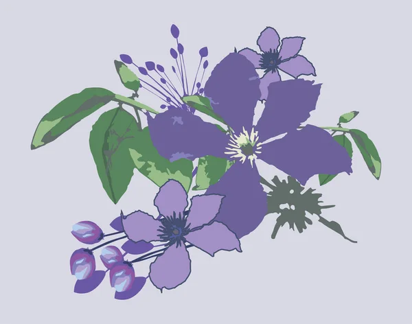 Fiore Viola Con Foglie Fiori Boccioli Giovani Fioritura Viola Illustrazione — Vettoriale Stock