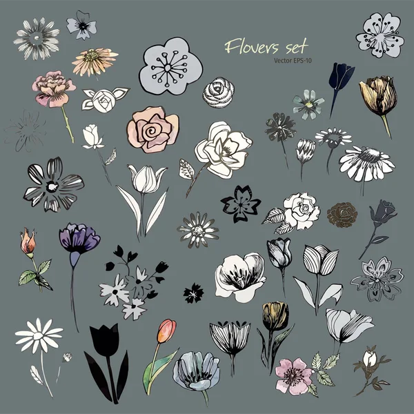 Набор Векторных Цветов Красочные Растения Цветы Листья Чернильные Рисунки Векторные — стоковый вектор