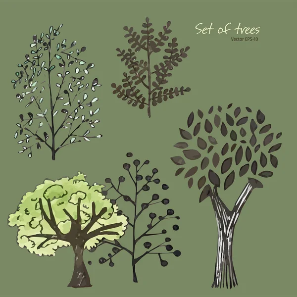 一组树 树在墨水里 树木和灌木丛的轮廓 有叶子的树 树叶落在树上和灌木上 说明性病媒 — 图库矢量图片