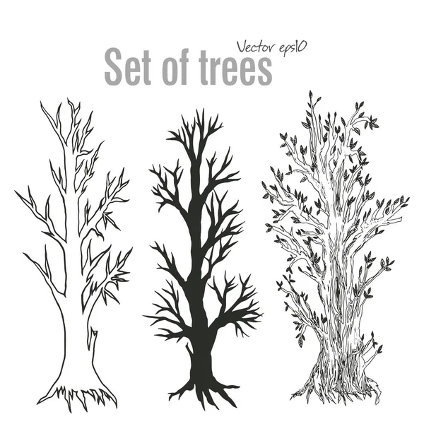 Набор Деревьев Векторные Деревья Чернильный Рисунок Естественные Мотивы Эскиз Лиственного — стоковый вектор
