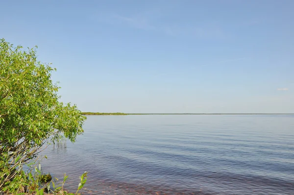 Stone Island Sul Lago Kuligukoye Distretto Ust Kubinsky Russia — Foto Stock