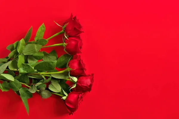 Direkt über der Overhead-Ansicht von Red Roses Bouquet auf einem roten Studio-Hintergrund. Kopierraum rechts. — Stockfoto