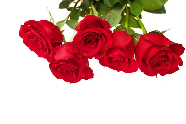 Low Angle View of Red Rose Bouquet Isolated on a White Background — Stock Photo, Image