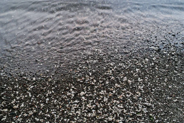 Конференц-зал по морской воде Пеббл Бич Текстура из Ракл-парка на острове Солт-Спринг — стоковое фото