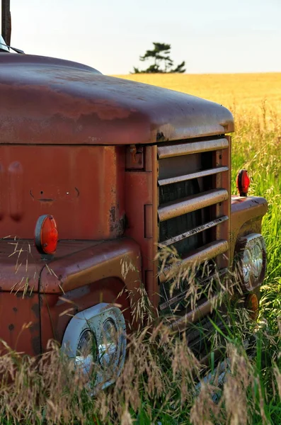 Close up of Front Grill of Abandoned Vintage and Rusty Truck in a Field on a Sunny Day — Stock Photo, Image