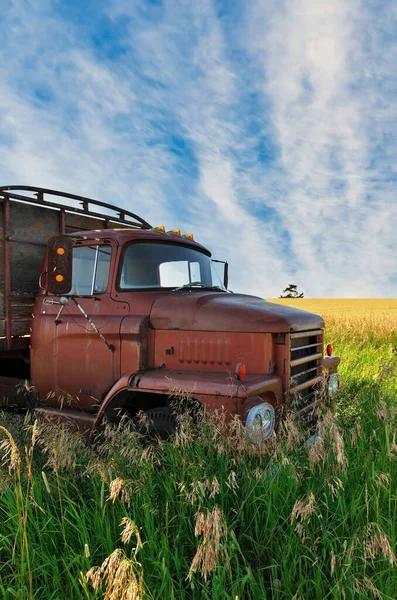 Verlassene Oldtimer und rostige LKW auf einem Feld an einem sonnigen Tag — Stockfoto