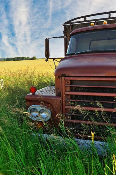 Close up of Front Grill of Abandoned Vintage and Rusty Truck in a Field on a Sunny Day — Stock Photo, Image