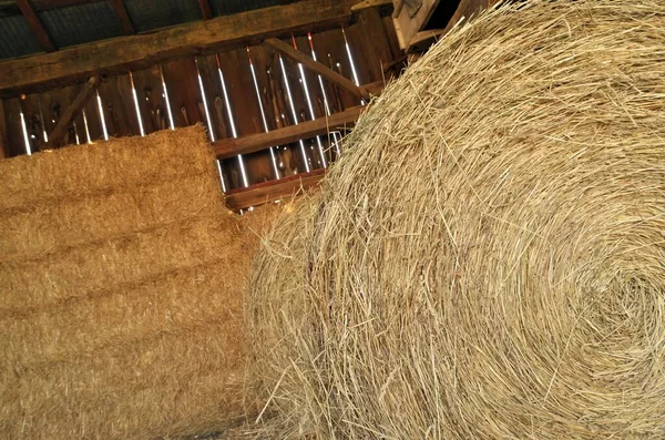 Gros plan de balles de foin rondes et carrées dans une ancienne grange en bois — Photo