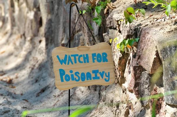 Hand geschilderd Kijk uit voor giftige klimop Teken langs Sandy Beach Trail naast Vine of Poison Ivy — Stockfoto