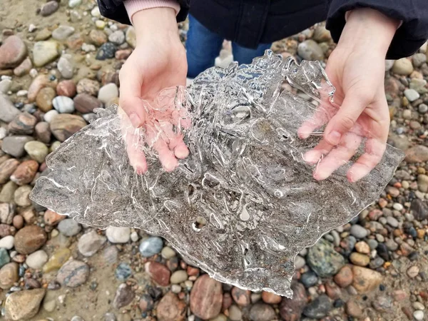 Zbliżenie młodych rąk trzymających piękny jasny kawałek lodu znaleziony na plaży podczas wiosennej odwilży Obrazek Stockowy