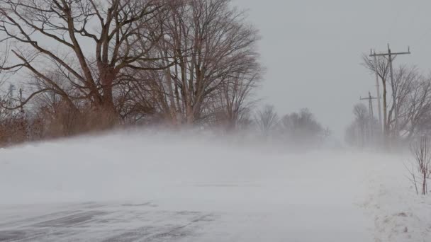 Snow Squall Conditions Blow Snow Over a Country Road w Ontario Kanada Tworzenie Snowdrifts — Wideo stockowe