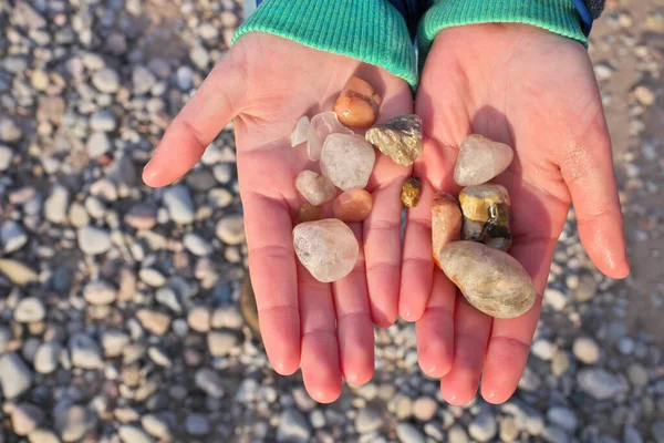 Закройте руки, держа в руках камни и булыжники на пляже в Георгиевском заливе — стоковое фото