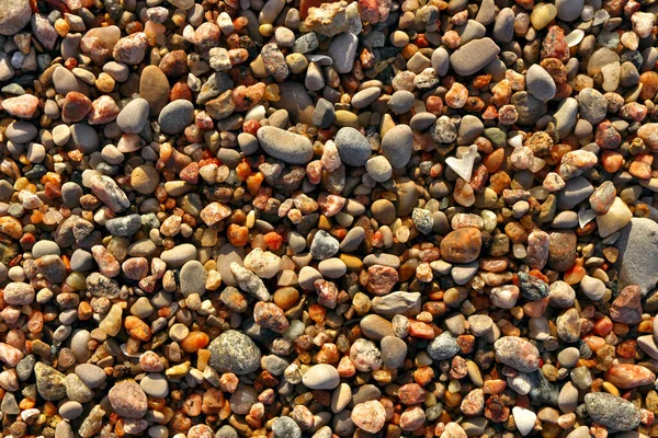 Different colored beach pebbles as background or texture.