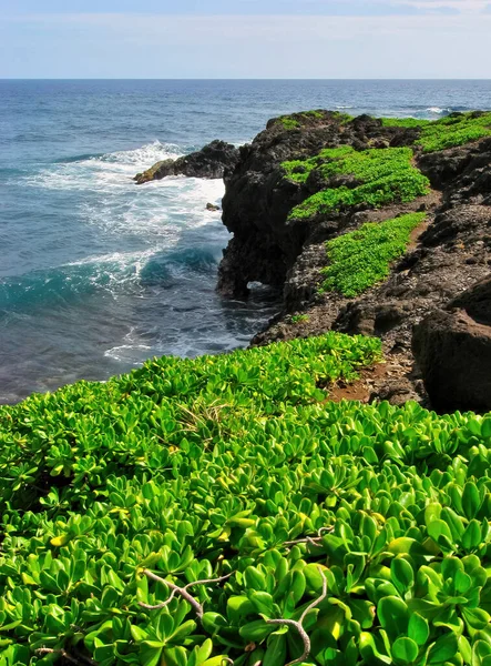 View of Hana Maui Ocean Coastline from Kuloa Point Trail at Haleakala National Park Oheo Gulch — Stock fotografie