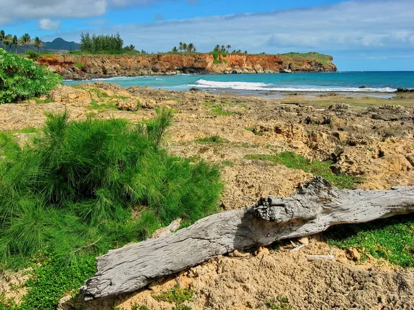 Cliff and Ocean Views along Mahaulepu Heritage Trail between Shipwrecks Beach and Punahoa Point — Stock Photo, Image