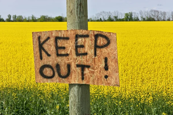 Homemade Keep Out Signs Posted at Edge of Canola Field to Warn Trespassers to Stay Out