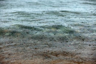 Şiddetli bir sağanak altında küçük dalgalarla göl yüzeyine düşen yağmur damlaları ve yağmur damlacıkları yüksek deklanşör hızıyla donmuş, kasvetli bir atmosfer yaratır. Bir sürü kopya alanı var. Yüksek
