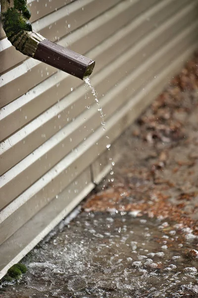 Rain Water Pours Out of a Short Downspout on side of house pooling by foundation because of improper drainage design and inadequate extension length. Pooled water threatens to flood basement