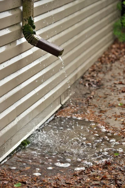 Rain Water Pours Out of a Short Downspout on side of house pooling by foundation because of improper drainage design and inadequate extension length. Pooled water threatens to flood basement