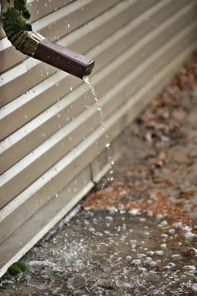 Deszczowa Woda Wylewa Się Krótkiego Downspout Stronie Domu Basen Przez Zdjęcia Stockowe bez tantiem