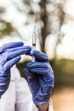 Kadın doktor elinde şırınga tutuyor. Şırıngayla çekilen bir şişedeki aşı.