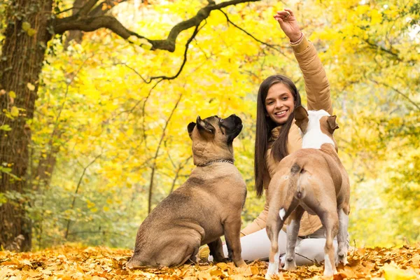 Šťastná Usměvavá Žena Objímající Svého Psa Ležícího Parku — Stock fotografie