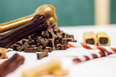 Yeşil arka planı çiğnemek için köpek kemiği