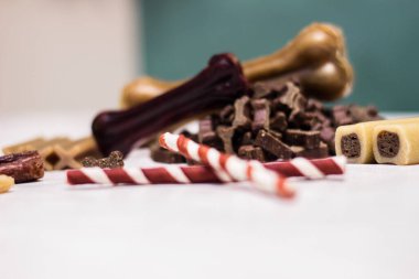 Yeşil arka planı çiğnemek için köpek kemiği