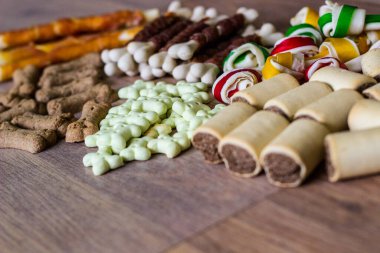 Köpek arkaplanda renkli bisküviler, köpekler için aperatifler. Sağlıklı kuru hayvan maması konsepti