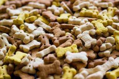 Köpek arkaplanda renkli bisküviler, köpekler için aperatifler. Sağlıklı kuru hayvan maması konsepti