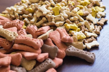 Köpek arkaplanda renkli bisküviler, köpekler için aperatifler. Sağlıklı kuru hayvan maması konsepti