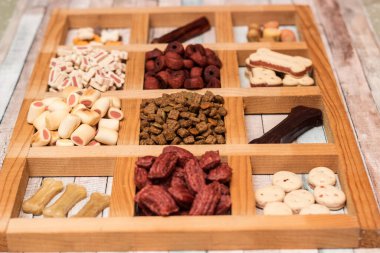 Köpeğin lezzetli renkli bisküvileri.