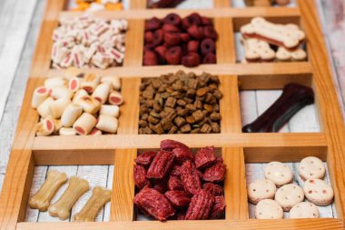 Köpeğin lezzetli renkli bisküvileri.