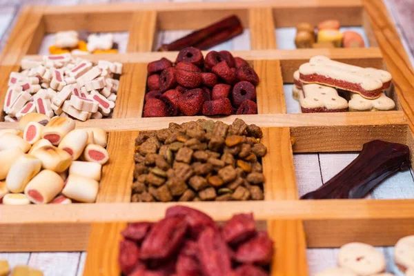 Cão Saborosos Biscoitos Coloridos — Fotografia de Stock