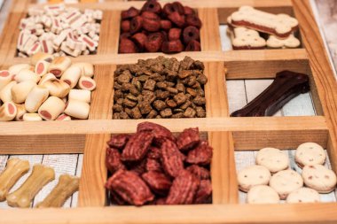 Köpeğin lezzetli renkli bisküvileri.