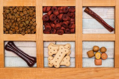 Köpeğin lezzetli renkli bisküvileri.